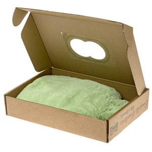 Bouillotte micro-ondes vert pastel