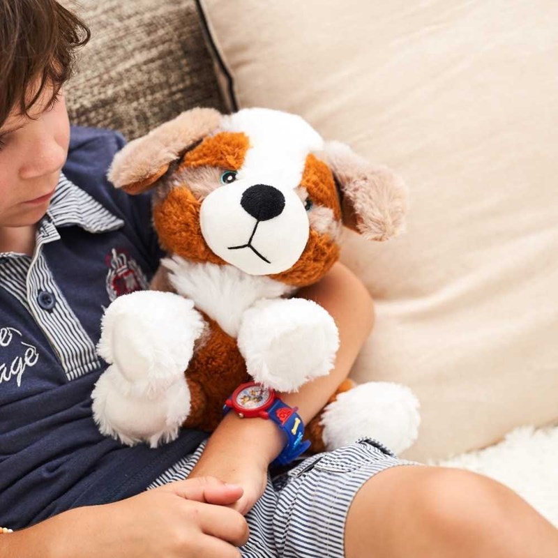 Peluche bouillotte chien berger