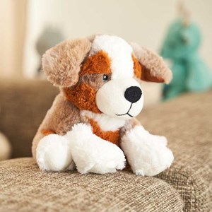 Bouillotte chien berger