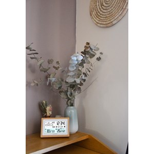 Station météo contour bois