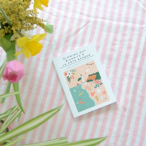 Guide de biarritz et la côte basque