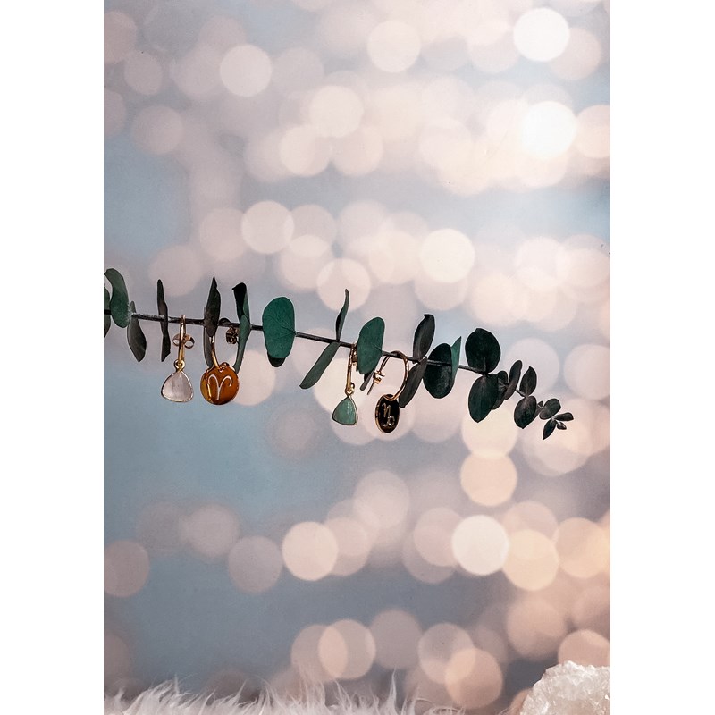 Créoles signe astrologique - lion