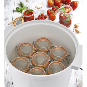 Stérilisateur à bocaux électrique 27l