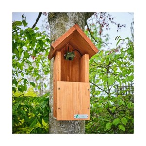 Kit complet nichoir oiseaux avec caméra