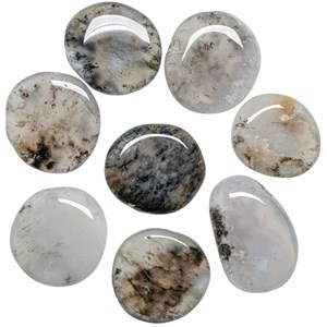 Galet plat agate dendritique - a l'unité