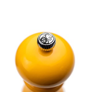 Paris moulin à sel manuel en bois