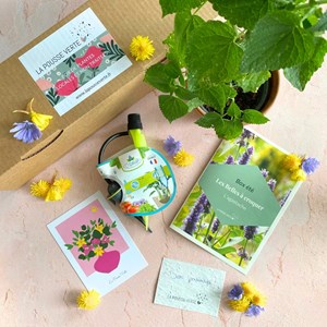 Box de plantes fleuries comestibles