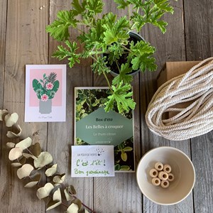 Box de plantes fleuries comestibles