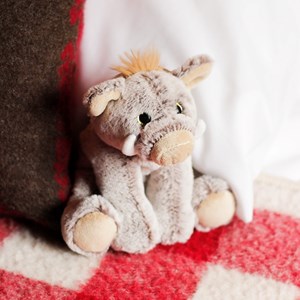 Peluche sanglier 16cm - dani c