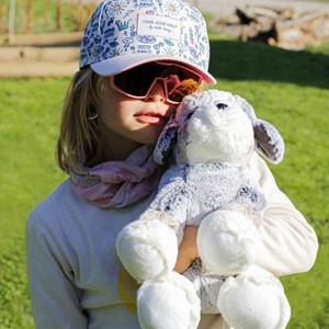 Peluche bouvier bernois dani c