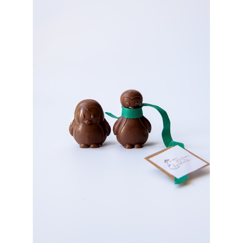 Pingouins bio chocolat au lait