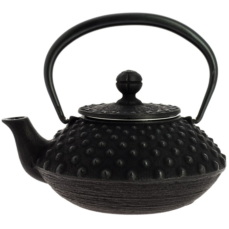 Théière fonte iwachu kanbin noire 320 ml