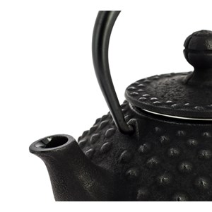 Théière fonte iwachu kanbin noire 320 ml