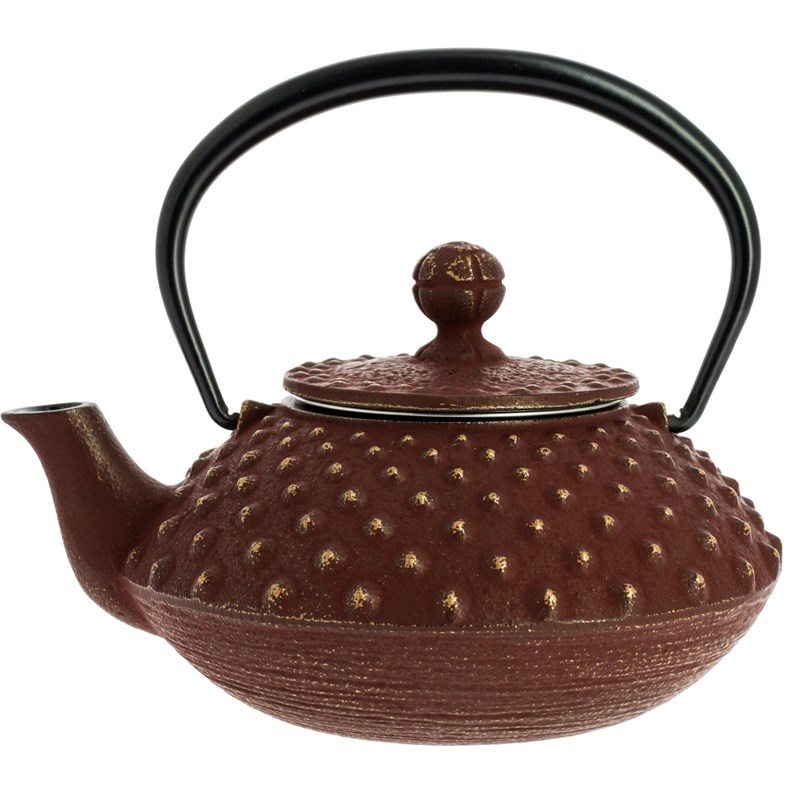 Théière fonte kanbin marron-doré 320 ml