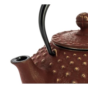 Théière fonte kanbin marron-doré 320 ml