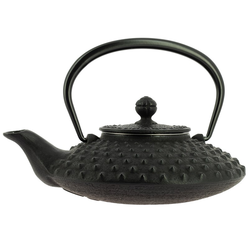 Théière fonte iwachu kanbin noire 500 ml