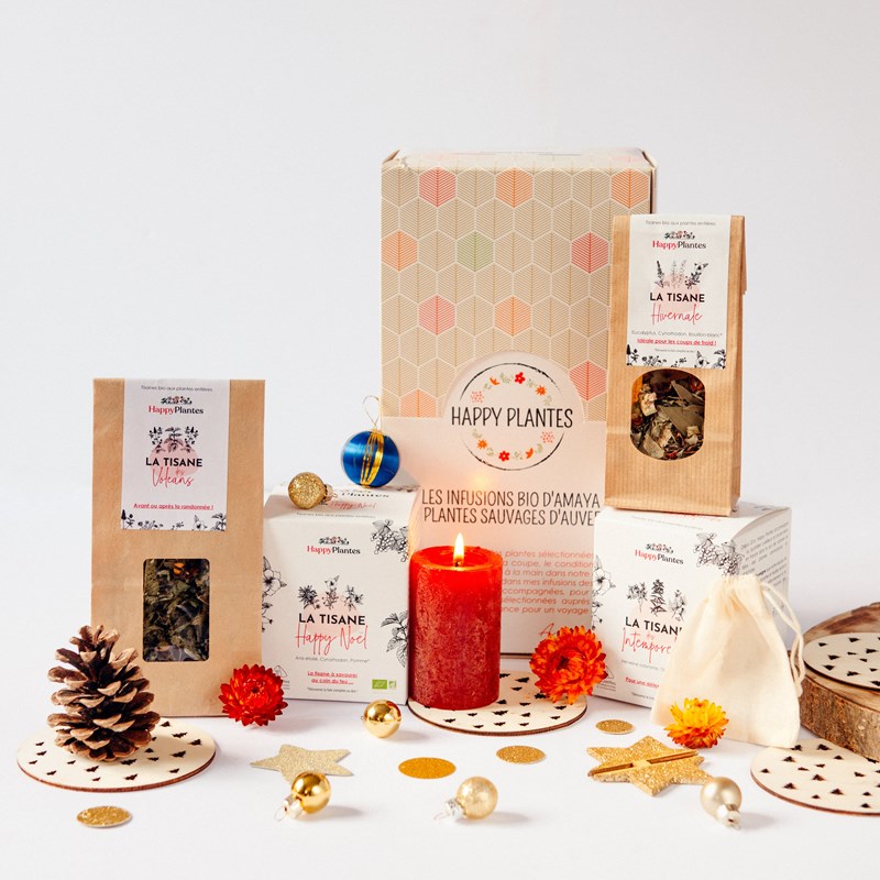 Box petit budget noël bio