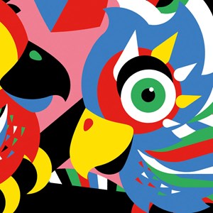 Puzzle enfant - pako et mako