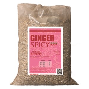 Pack ginger spicy bio access-6bouteilles