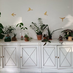 Kit oiseaux en argile à créer