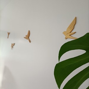 Kit oiseaux en argile à créer