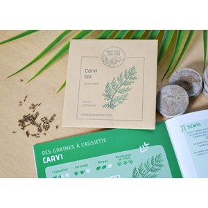 Kit jardinage - jardin des simples : graines de carvi et angélique bio