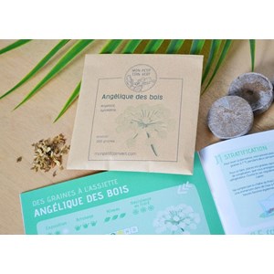 Kit jardinage - jardin des simples : graines de carvi et angélique bio