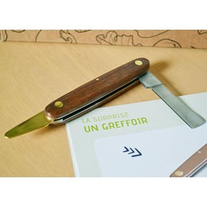 Kit jardinage - jardin des simples : graines de carvi et angélique bio