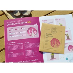 Kit jardinage - terra rossa : haricot nain big borlotto et chicorée bio