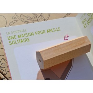 Kit jardinage - terra rossa : haricot nain big borlotto et chicorée bio