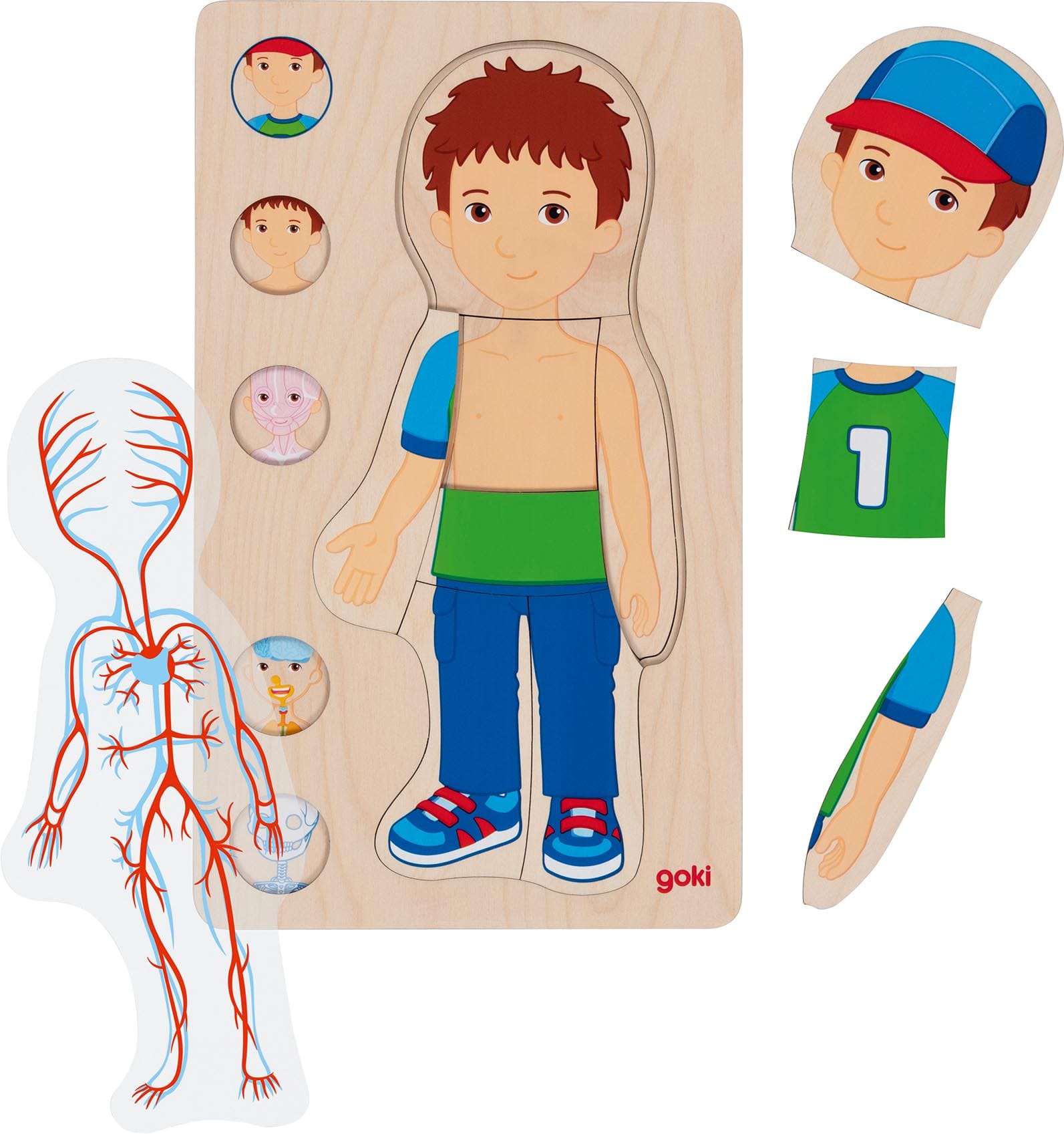Jeu découverte du corps humain – garçon – Magasin de jouets et jeux  éducatifs en ligne