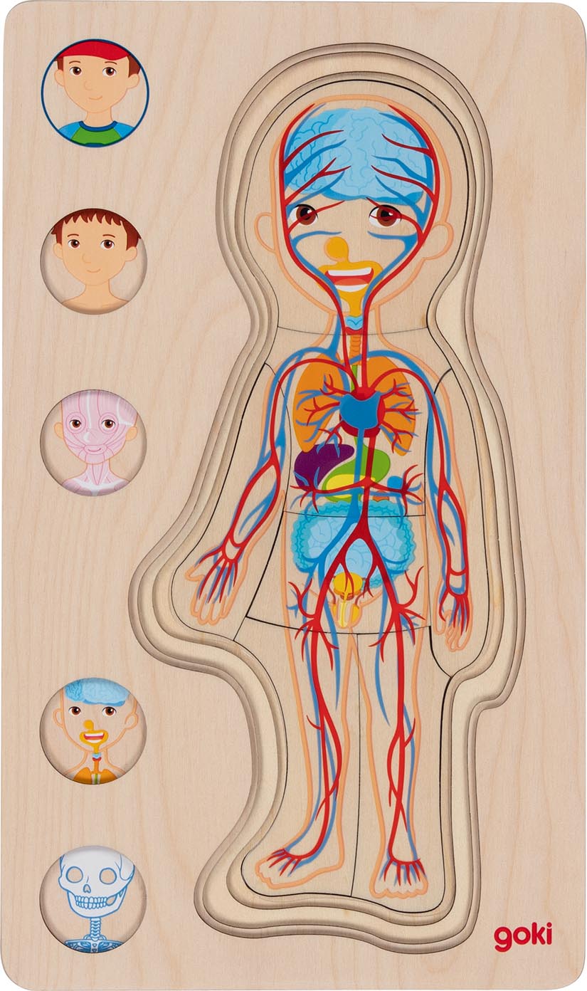 Goki Puzzle Le corps humain - Modèle garçon