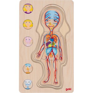 Puzzle corps humain, fille