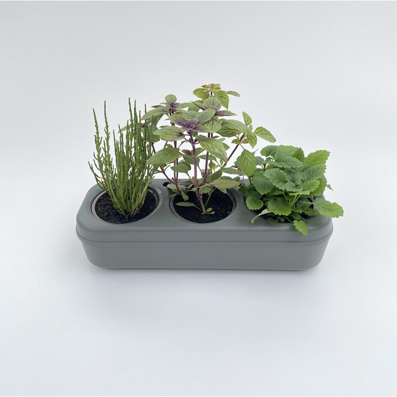 The Urban Permaculture - Kit prêt à planter - 3 graines bio
