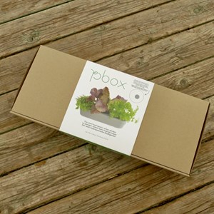 Potager d'intérieur en kit - 3 pestos