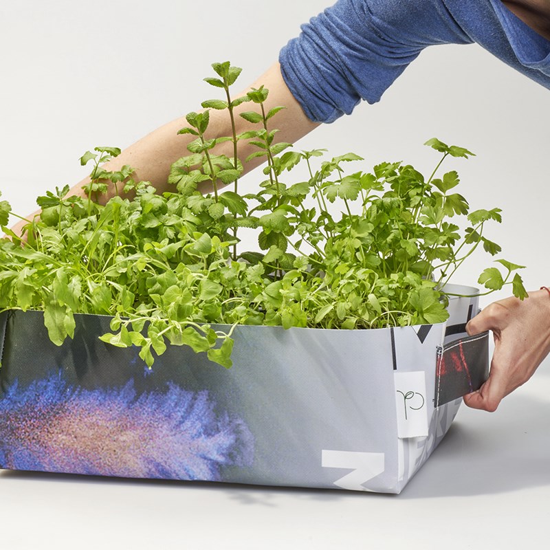 The Urban Permaculture - Potager mobile - 6 herbes bio