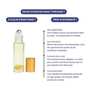 Roll-on astrologique lion