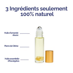 Roll-on astrologique lion