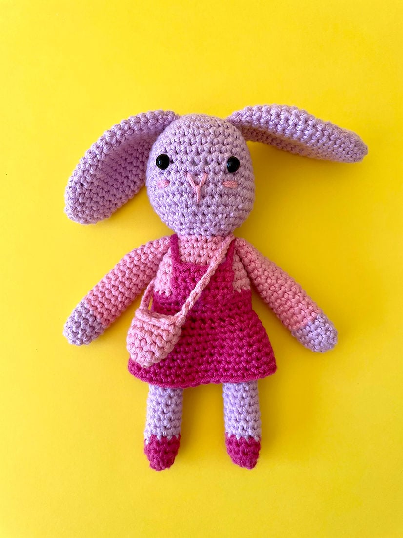 Kit De Crochet Pour Débutant, Kit D'animaux Au Crochet Avec Fil, Kit De  Crochet Complet Pour Adultes Et Enfants Avec Instructions