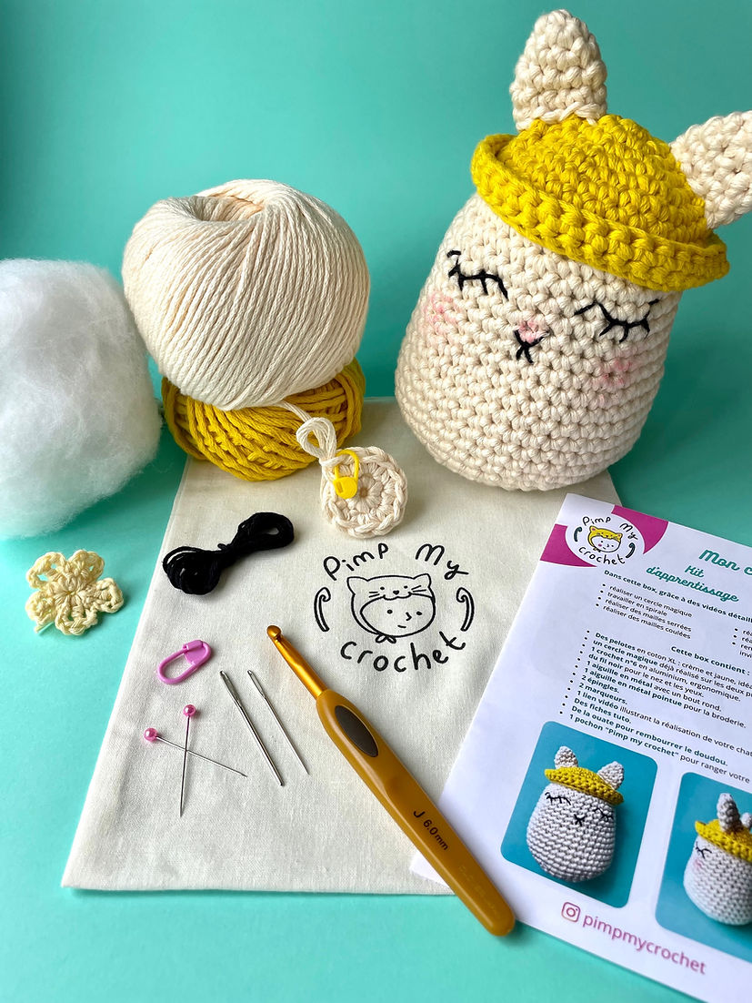 Kit de loisirs créatifs pour débutant : Apprenez à tricoter