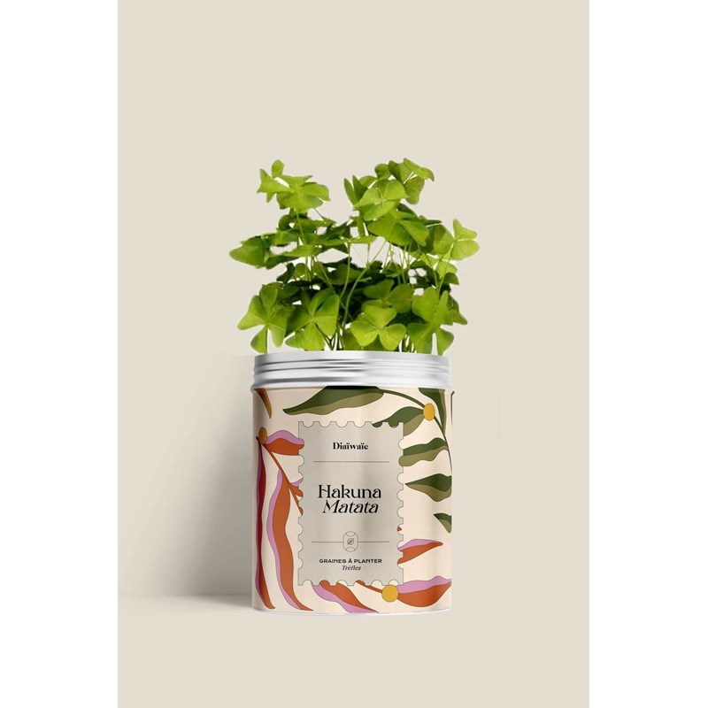 Diaiwaie - Hakuna matata - kit de graines