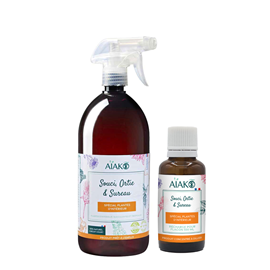 Pack plantes d'intérieur