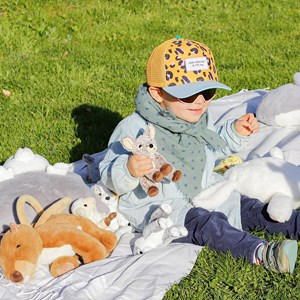 Peluche berger australien dani