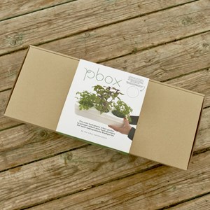 Kit potager triple - 3 aromatiques