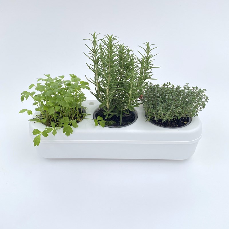 The Urban Permaculture - Kit potager urbain triple - 3 feuilles