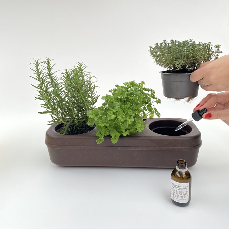 The Urban Permaculture - Kit potager - 1 fleur, 2 feuilles