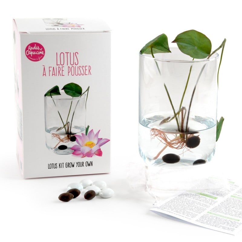 DITES-LE AVEC DES FLEURS Bisous Kit de plantation terre cuite Ø6  RADIS&CAPUCINE