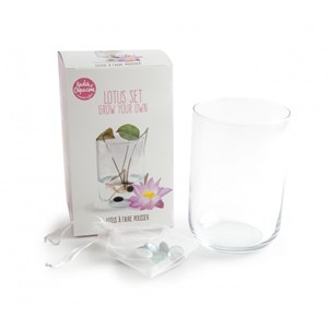 Coffret de culture du lotus