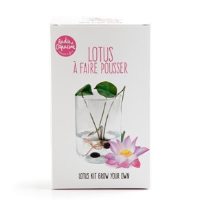 Coffret de culture du lotus