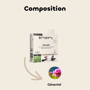 Collier insectifuge chat